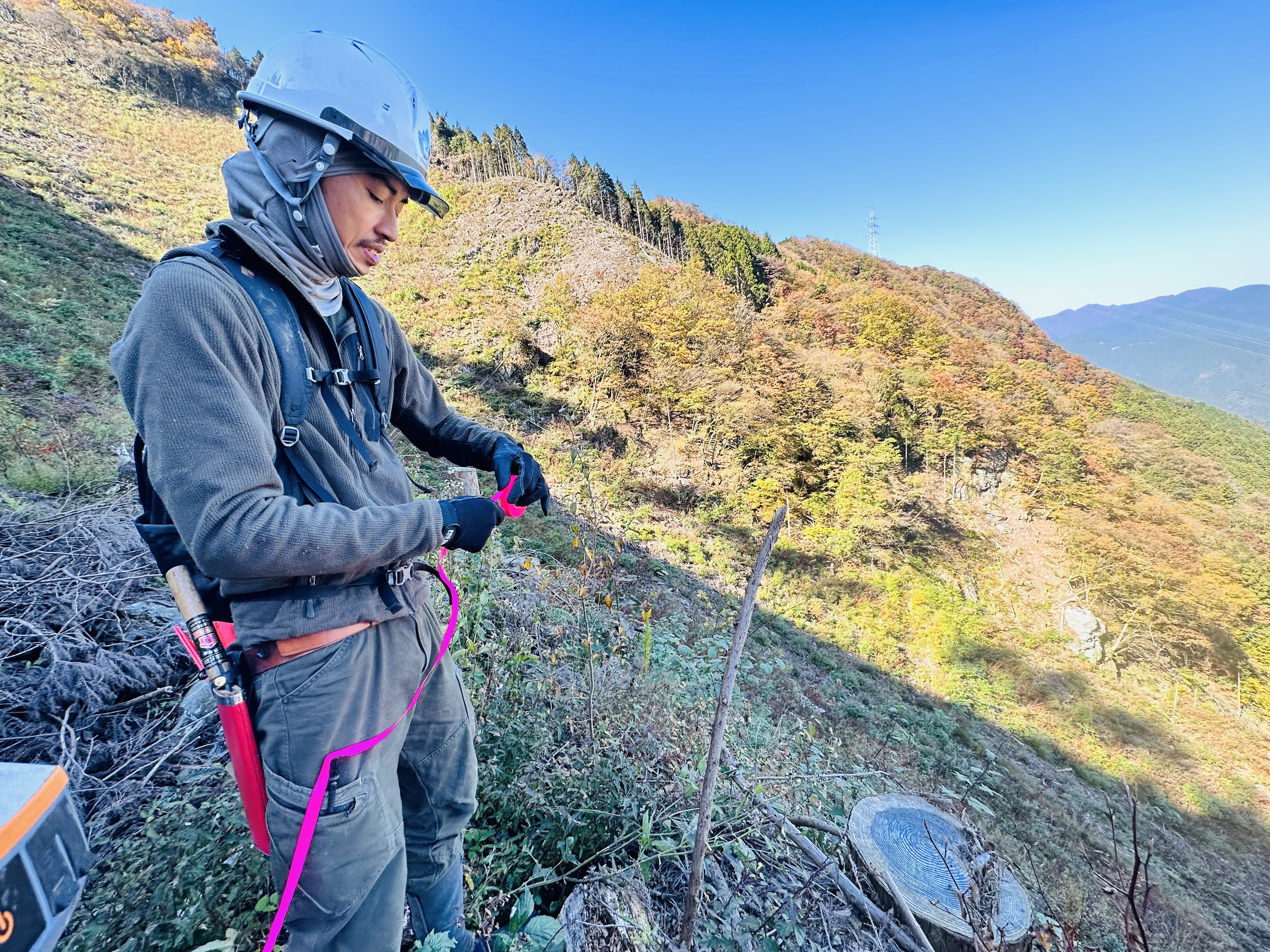 募集職種と業務内容