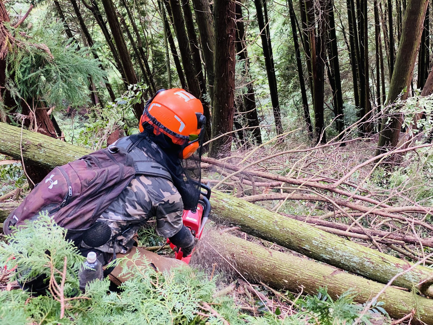 台風・豪雨のあと、倒木の不安をそのままにしない。二次被害を防ぐ応急対応から撤去まで、愛媛の現場に寄り添います。