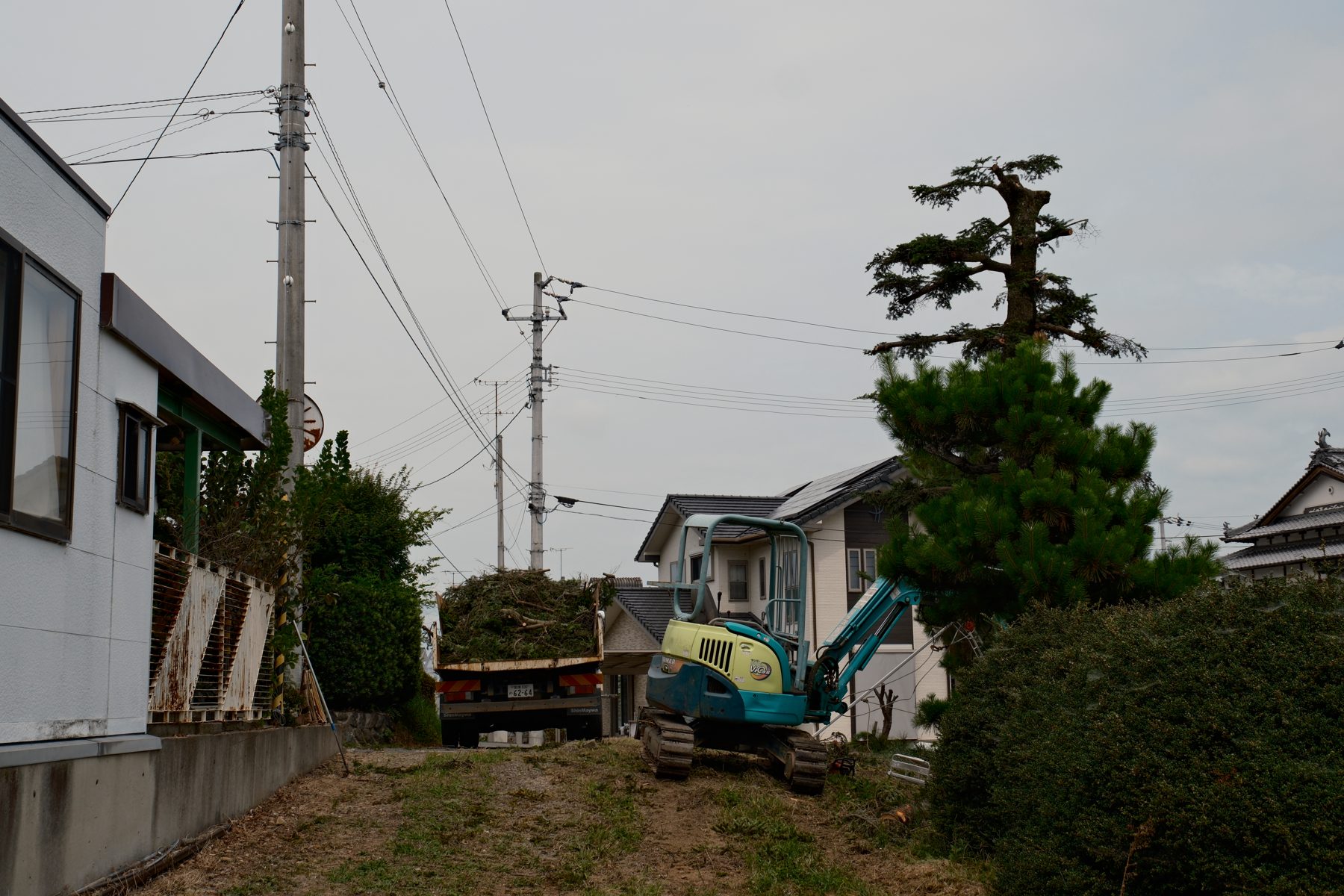 遠方からでも、空き家の敷地をすっきり安心に。木の伐採・片付けを写真でご報告します。
