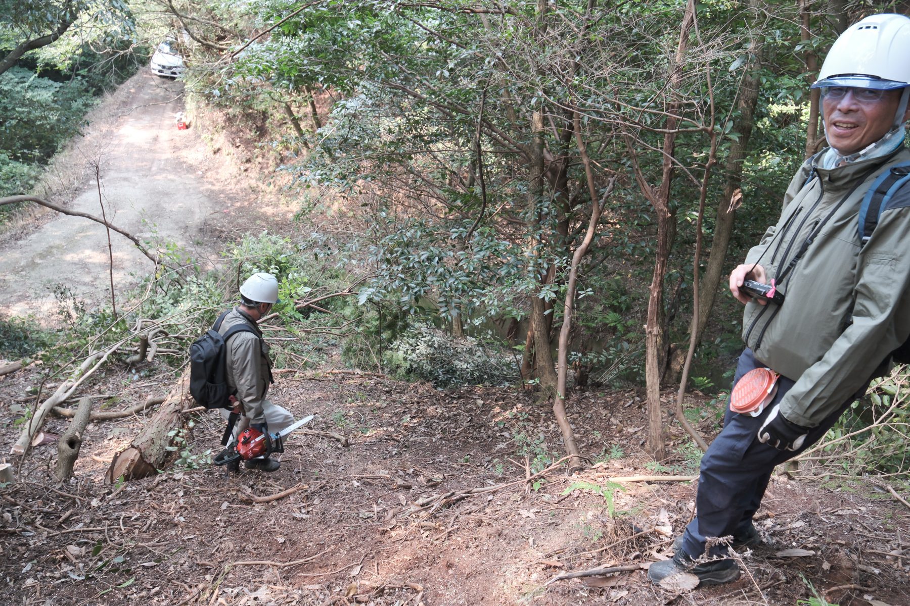 森を知る。山を整える。愛媛の林業を、1日で体感しよう。