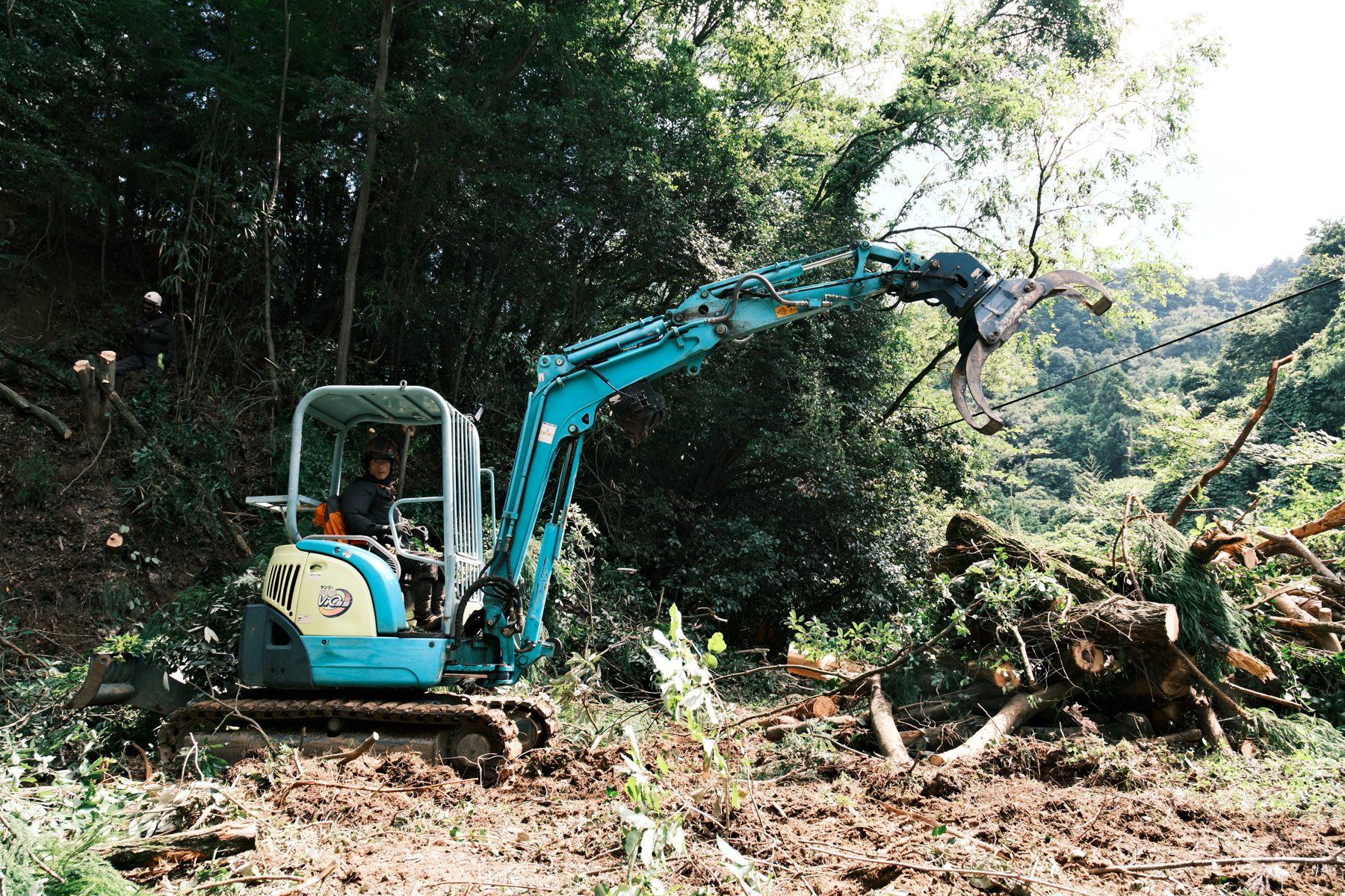 竹が迫る前に、山際を整える。西条市・今治市の放置竹林を、伐採から片付けまで一括対応